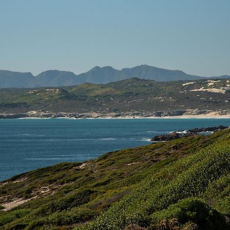 Whalesong Lodge Gansbaai Εξωτερικό φωτογραφία