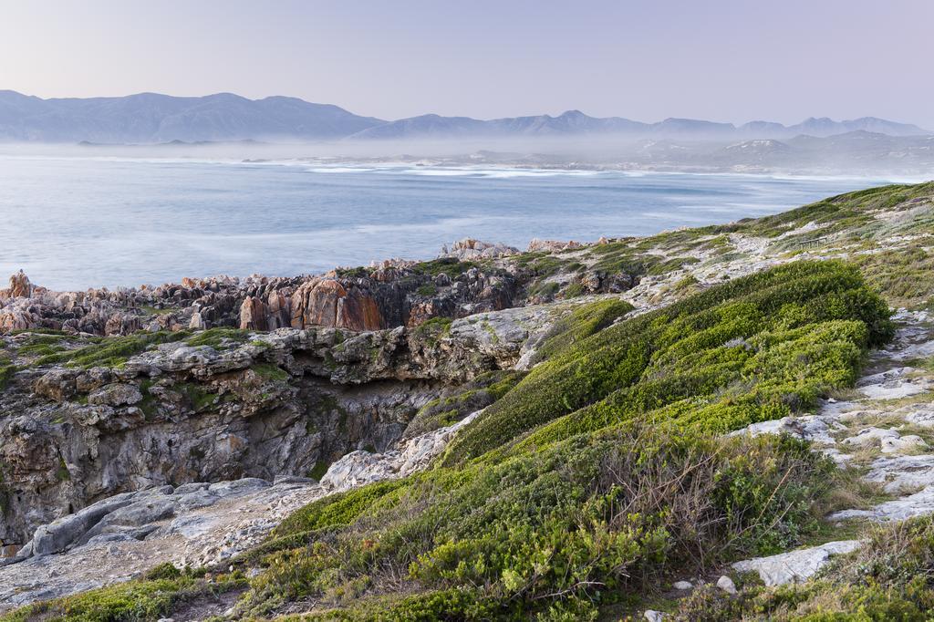 Whalesong Lodge Gansbaai Εξωτερικό φωτογραφία