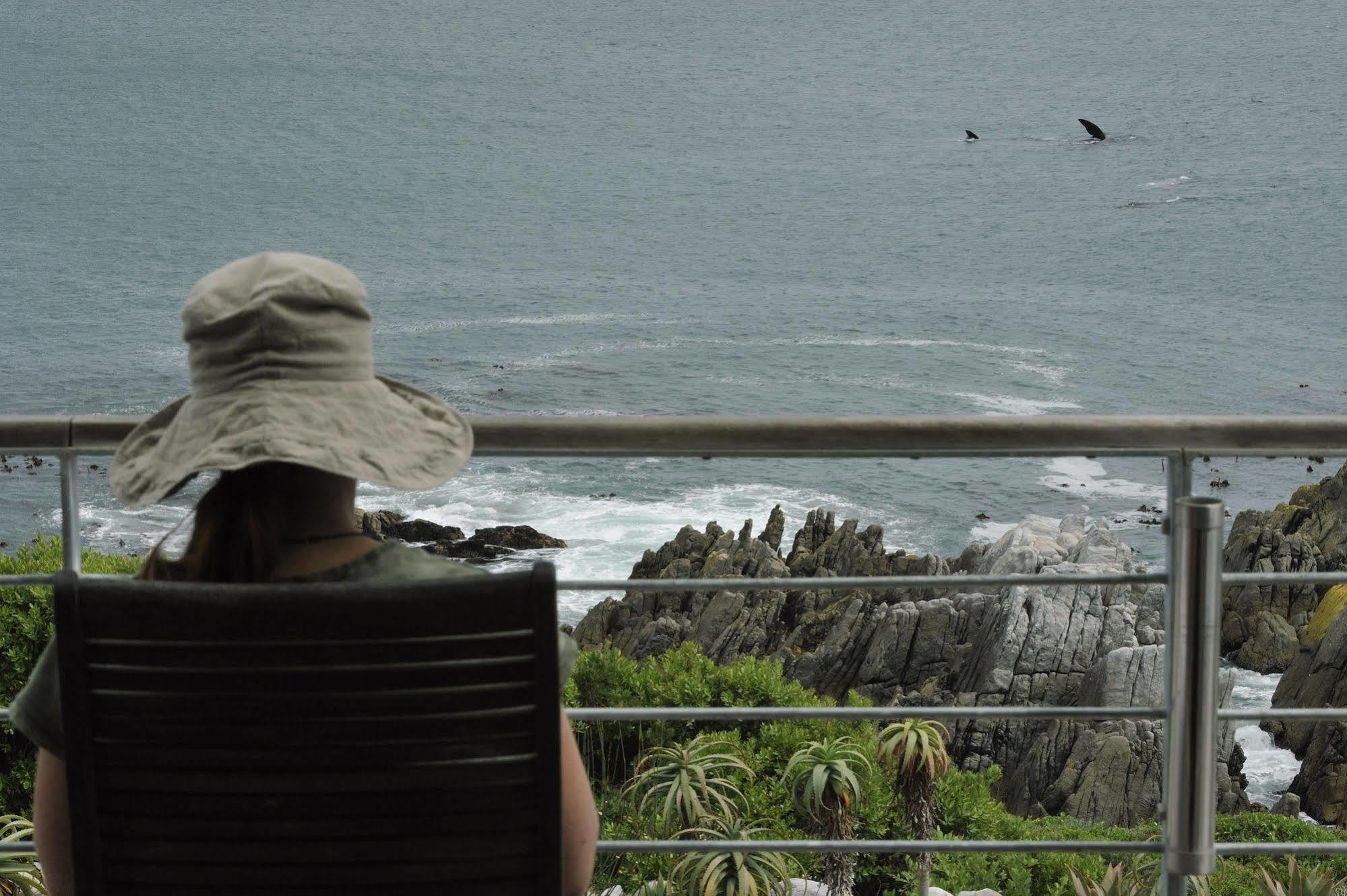 Whalesong Lodge Gansbaai Εξωτερικό φωτογραφία